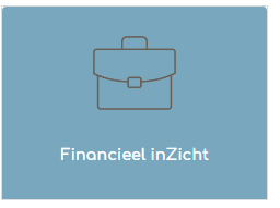Lees meer over Financieel inZicht